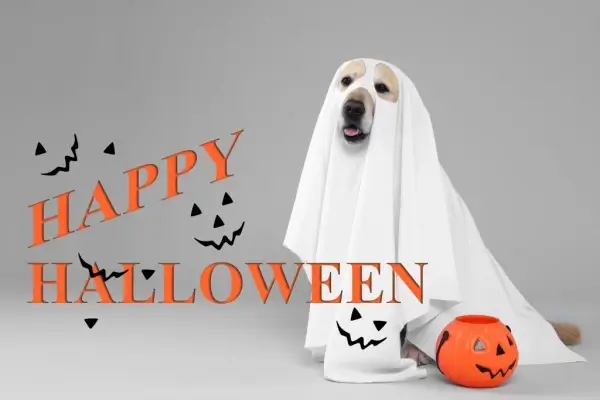 Happy Halloween from Sun Capital Mortgage, Inc.